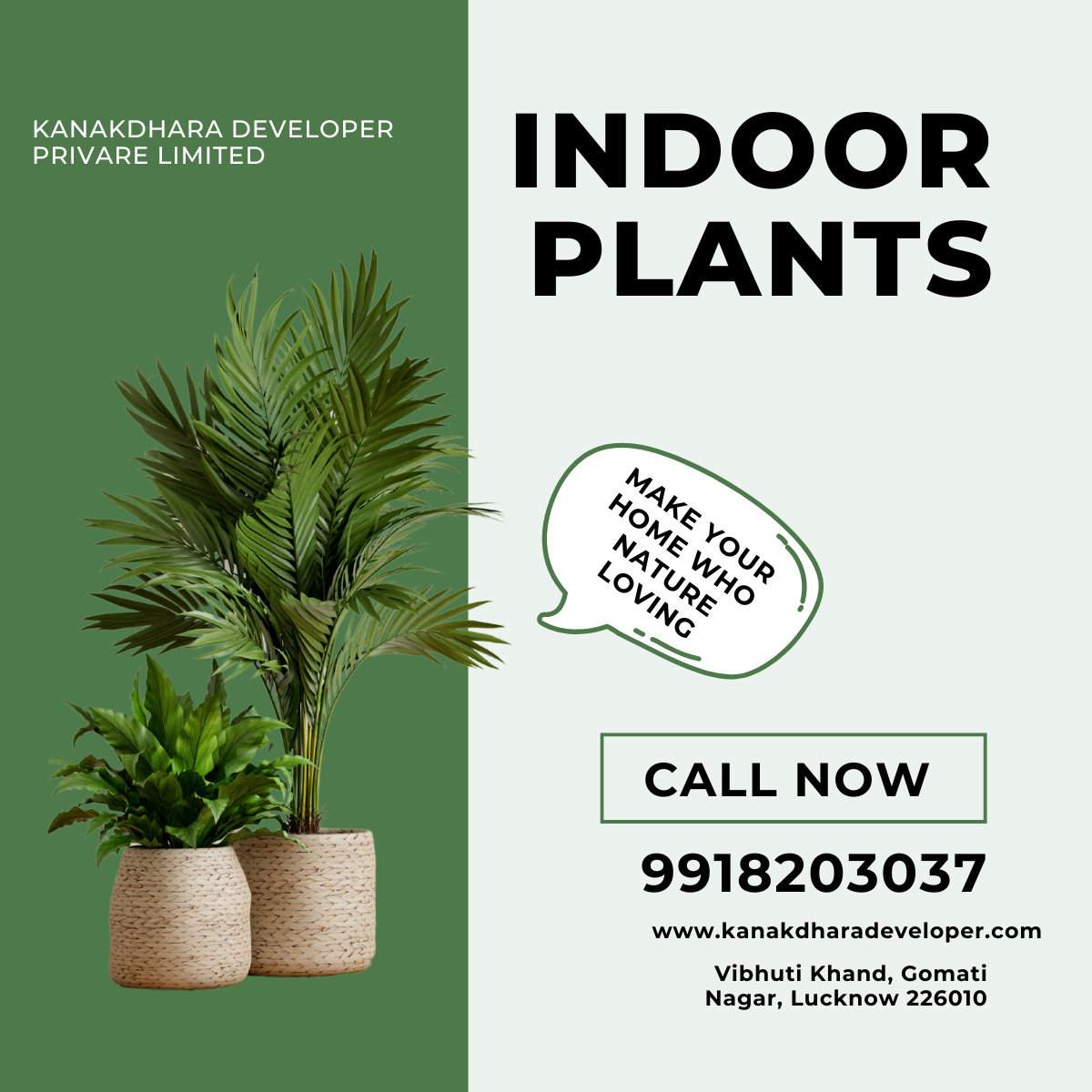 indoor plants