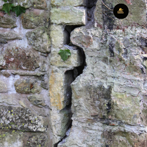 Settlement Cracks?