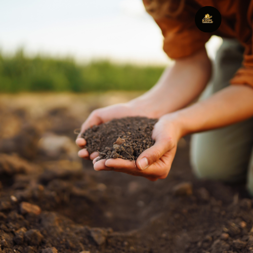 Soil Testing