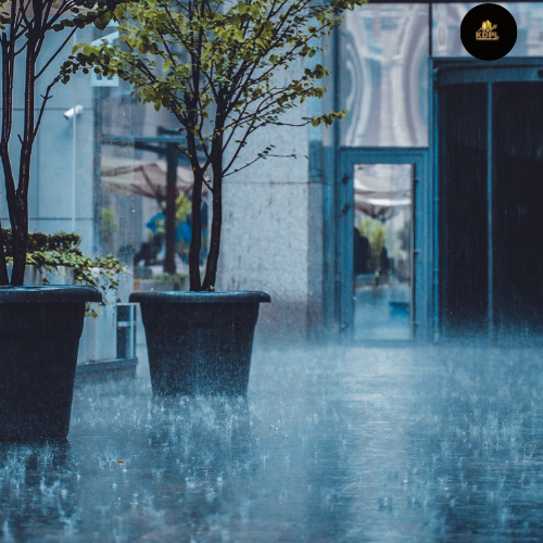 Rainwater