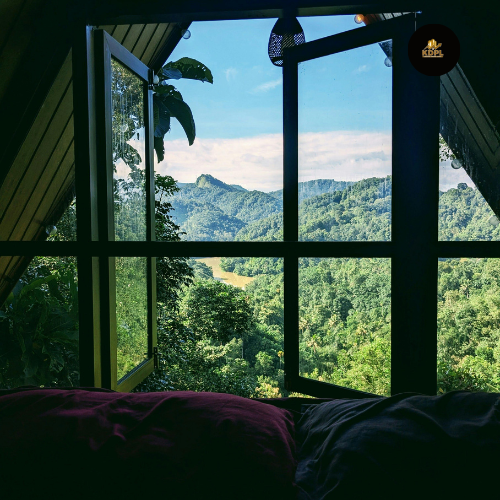 UPVC Windows?